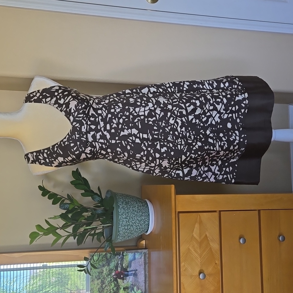 Banana Republic Silk Dress